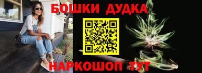 гидра Ахтубинск