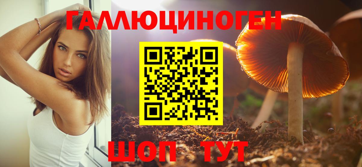 Галлюциногенные грибы мицелий  Вход с VPN  купить наркотик  Ачхой-Мартан 